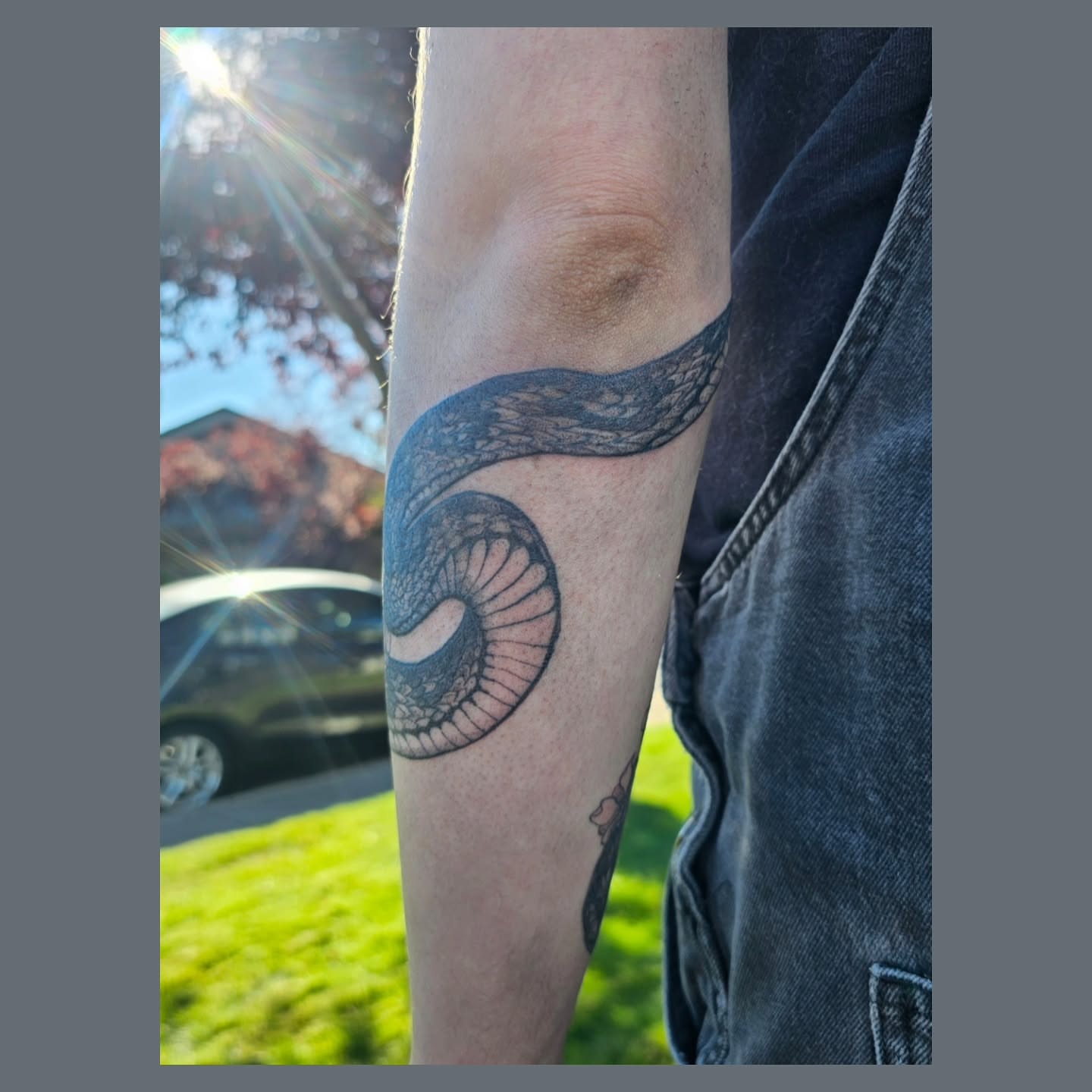 Snake black and grey tattoo on the forearm by The Fabled Tattooist (Alyssa Summers), Eagle Point, Oregon