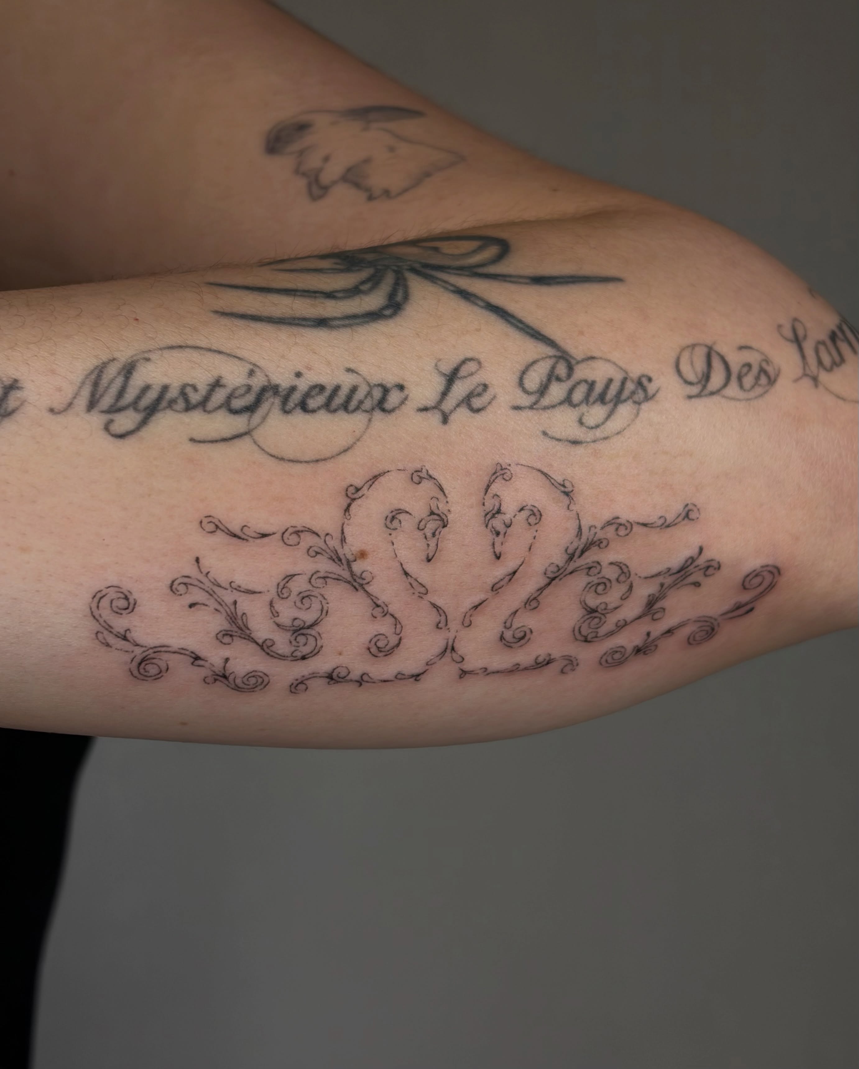 Swan and floral black and grey tattoo on the forearm by ๐ป๐๐๐๐๐๐๐ โงห*ยฐเฟ