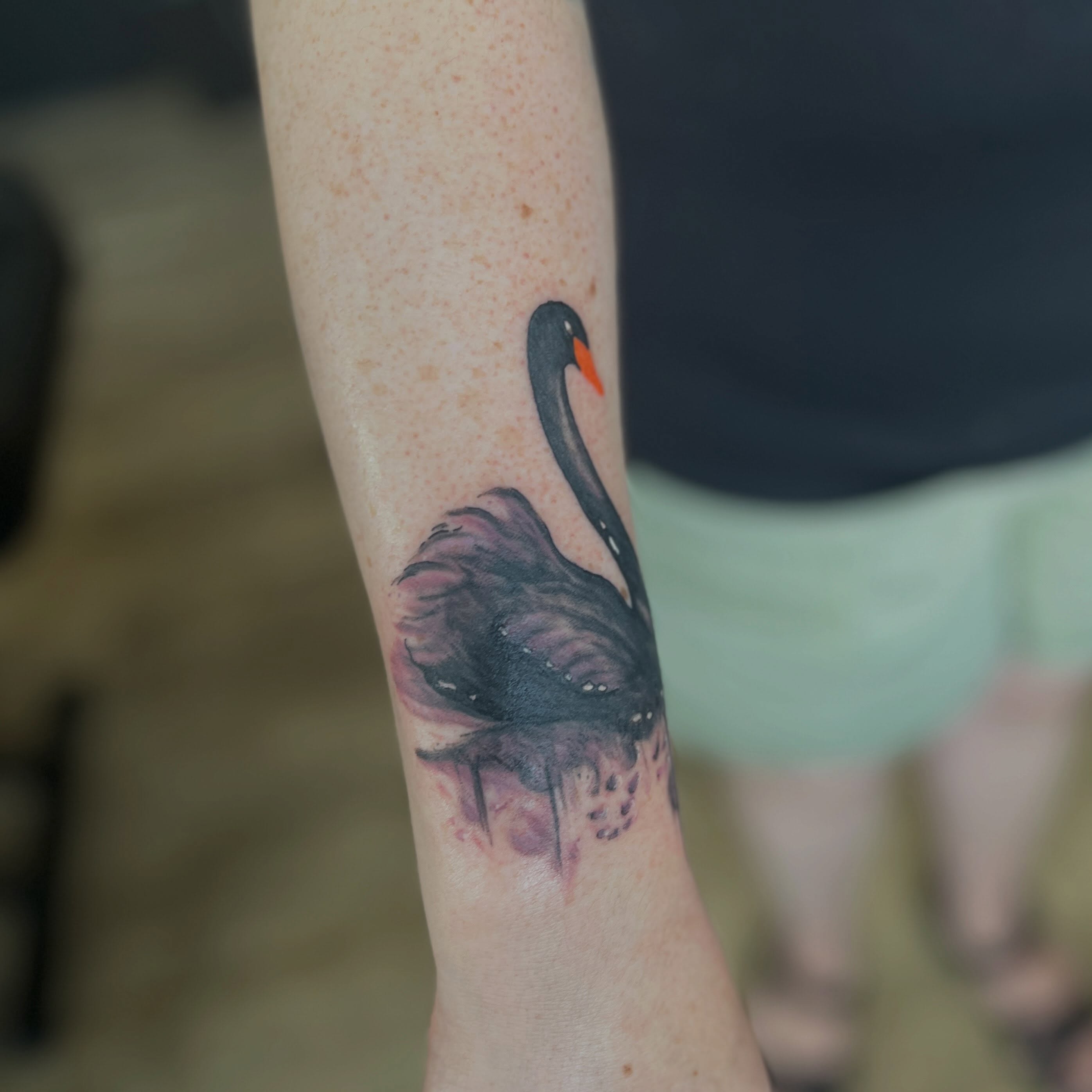 Black swan realism tattoo on the forearm by sarah