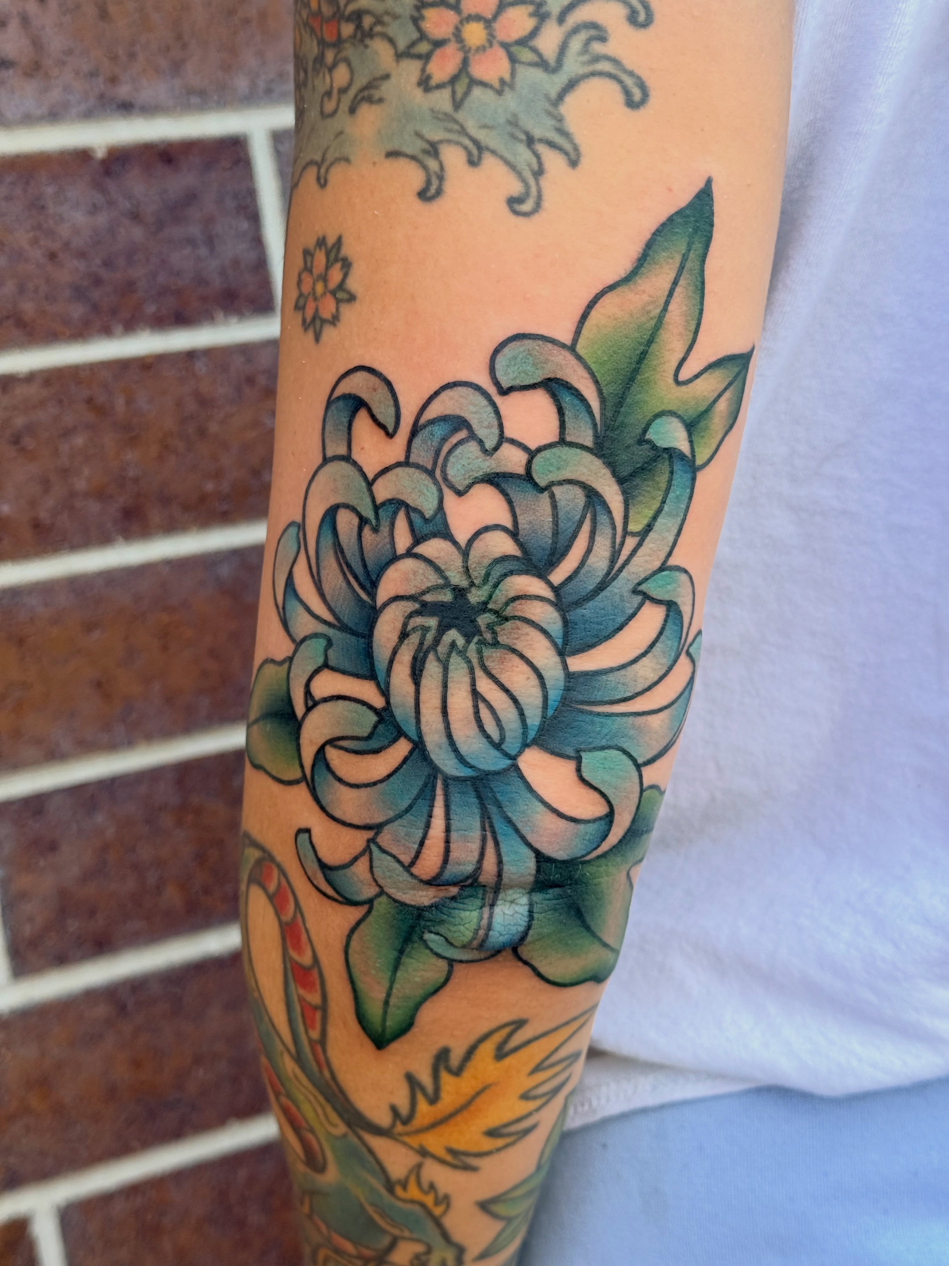 Chrysanthemum American traditional tattoo on the forearm by Kelsey Louis, Iowa City, Iowa