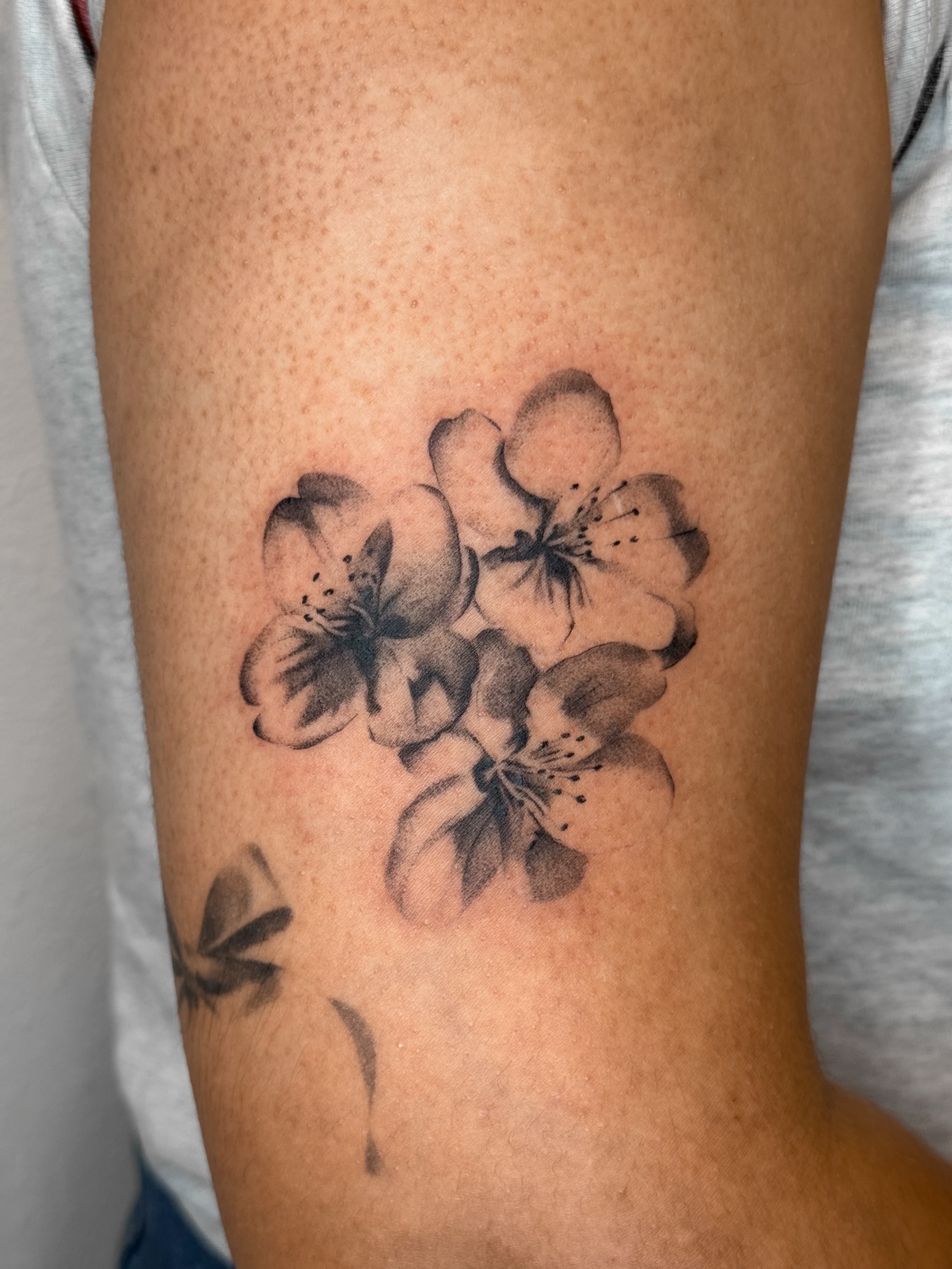 Cherry blossoms black and grey tattoo on the forearm by Rylee
