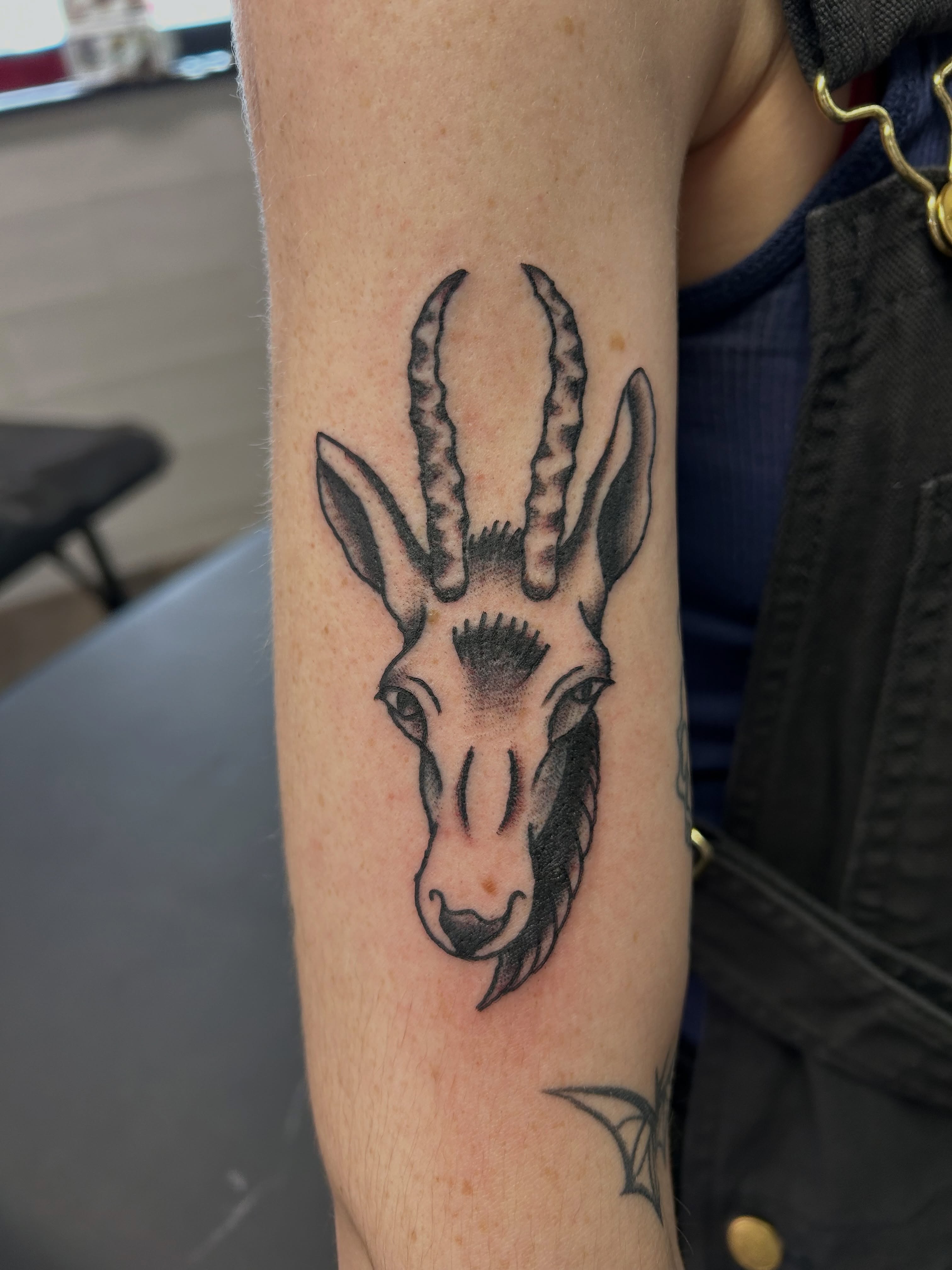 Antelope head black and grey tattoo on the forearm by Mike "Yogi" Trube
