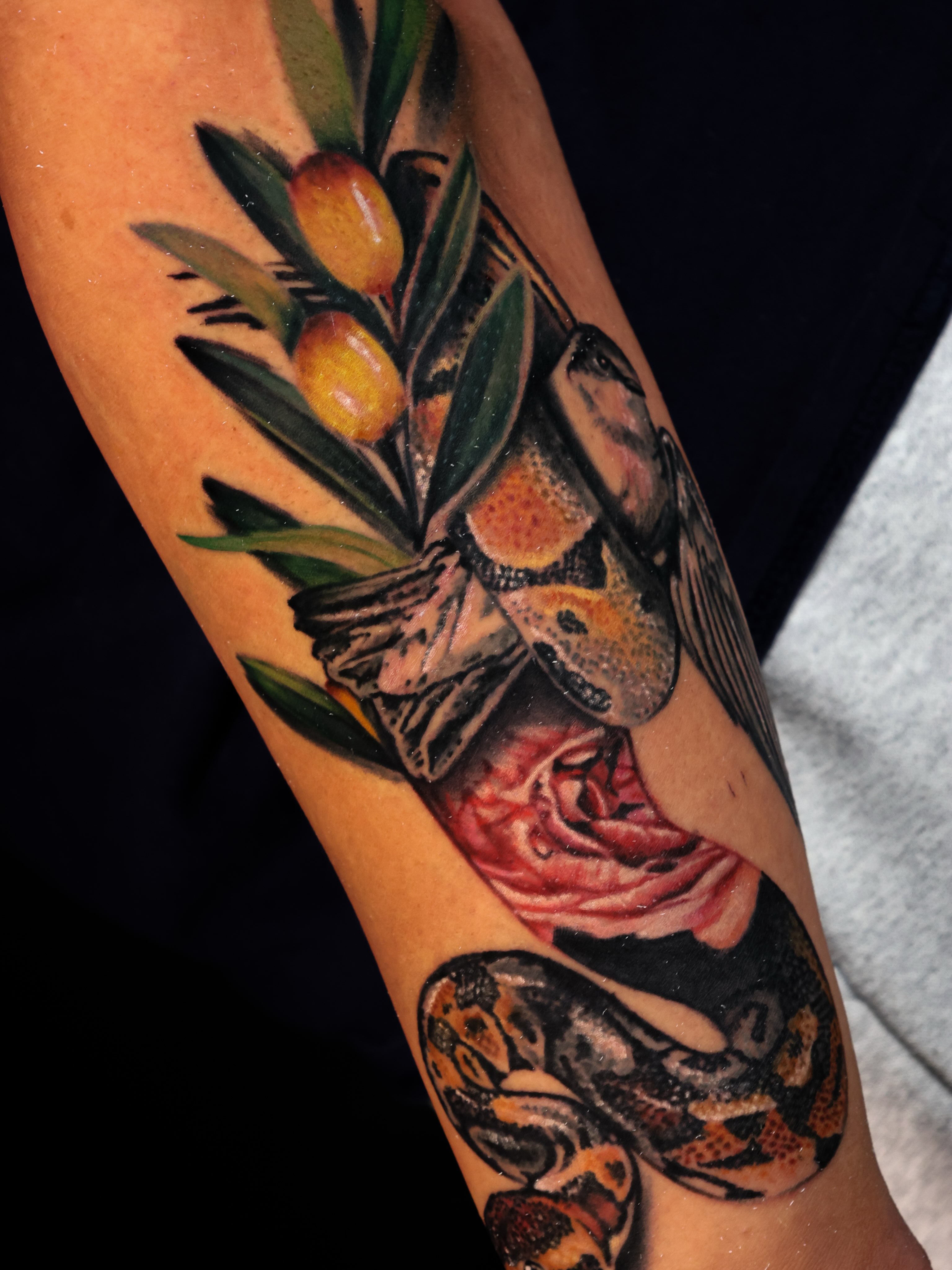 Olive branch, bird, snake, rose realism tattoo on the forearm by Ciani Holman