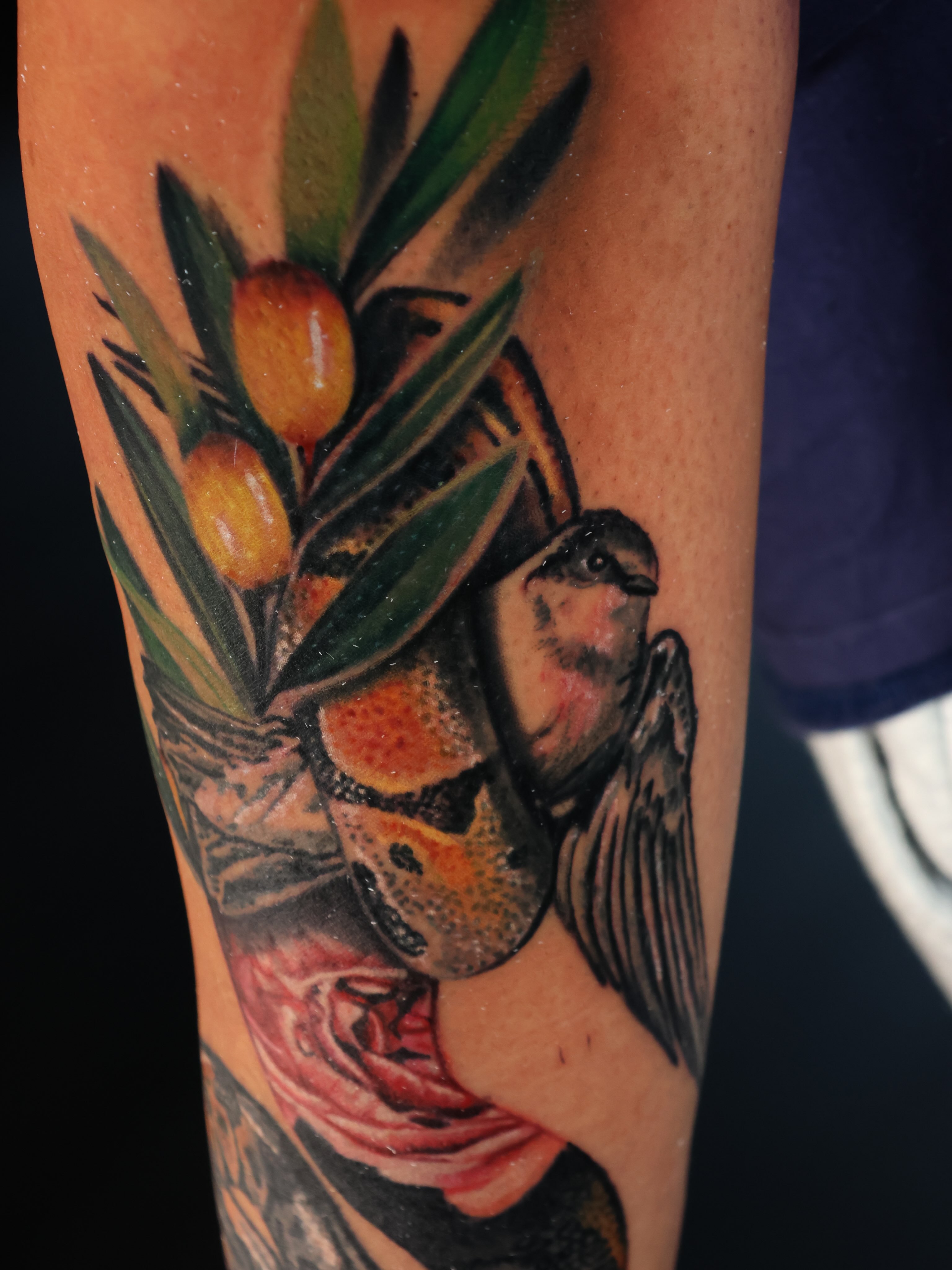 Olive branch and bird American traditional tattoo on the forearm by Ciani Holman