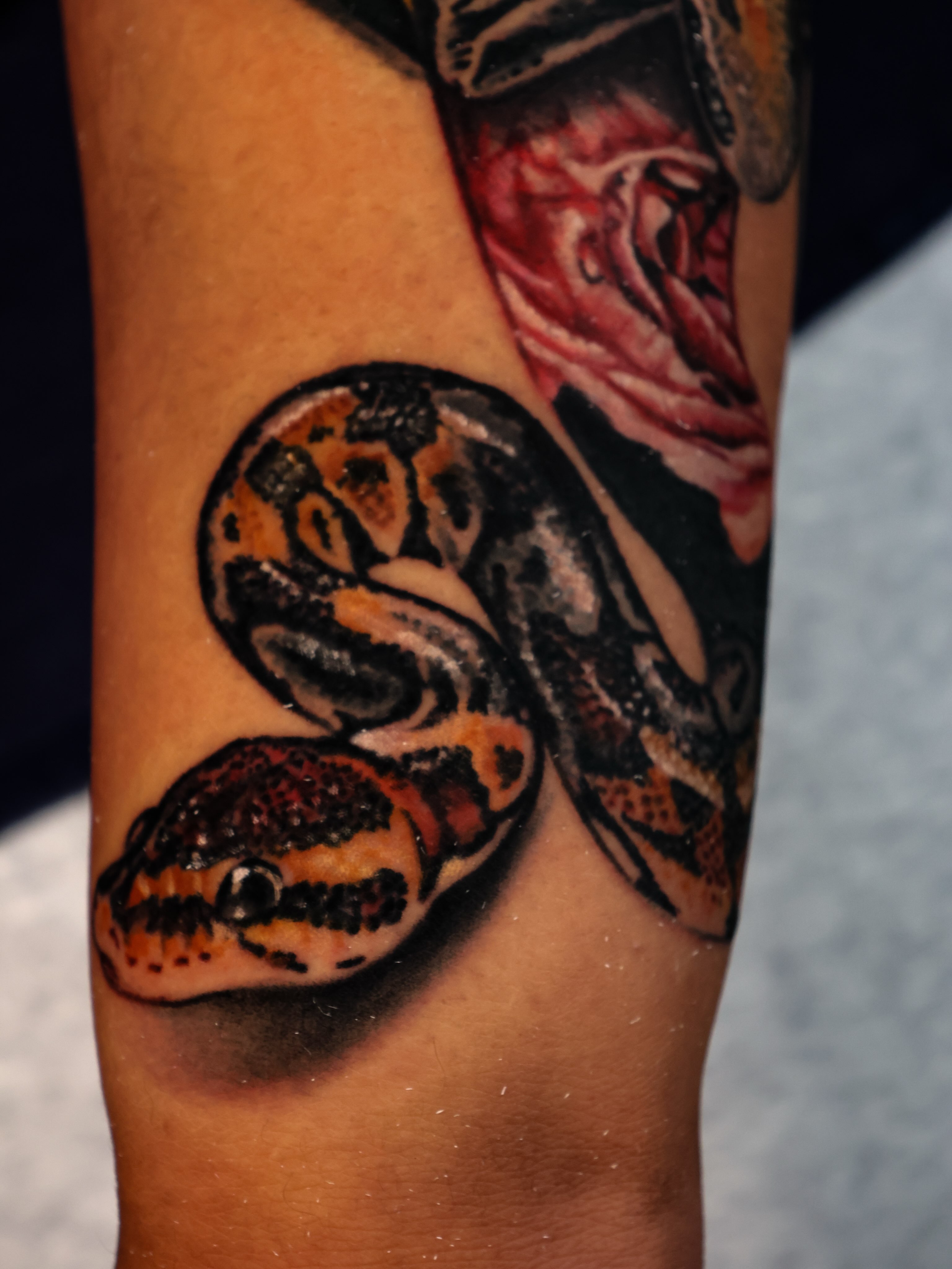 Snake realism tattoo on the forearm by Ciani Holman