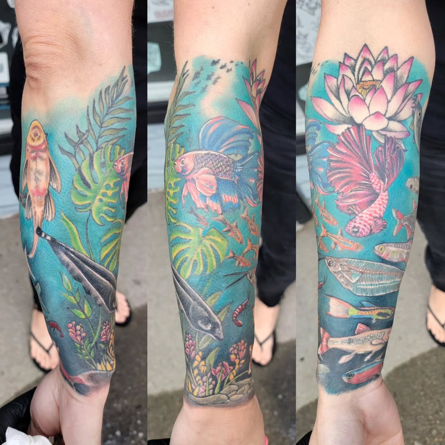 Tattoo by @tattooistgus — new_school, realism