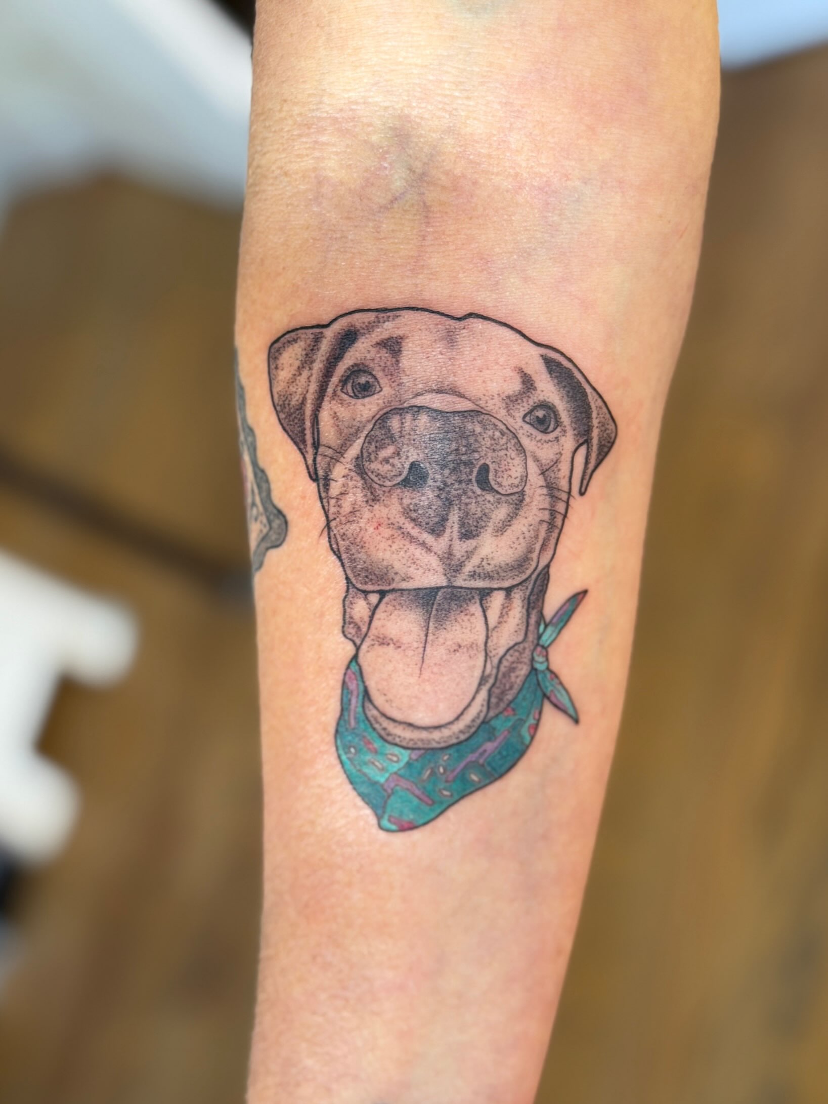 Dog realism tattoo on the forearm by Alison (Wise) Best