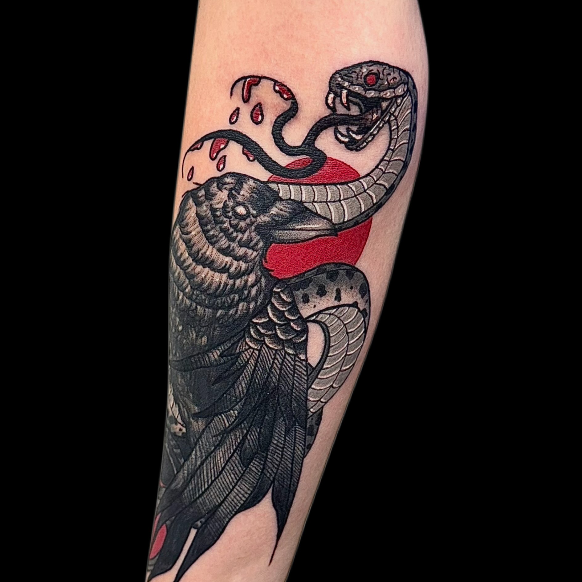 Snake and raven American traditional tattoo on the forearm by Abby Ash, Belington, West Virginia