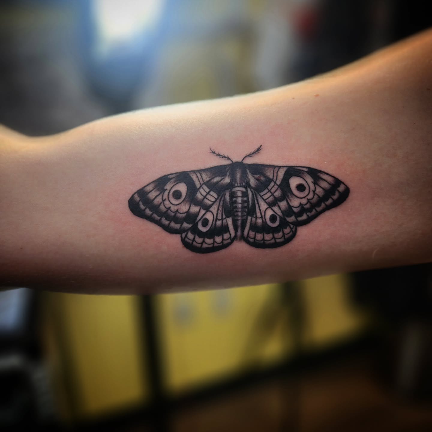 Butterfly black and grey tattoo on the forearm by Eric Richards