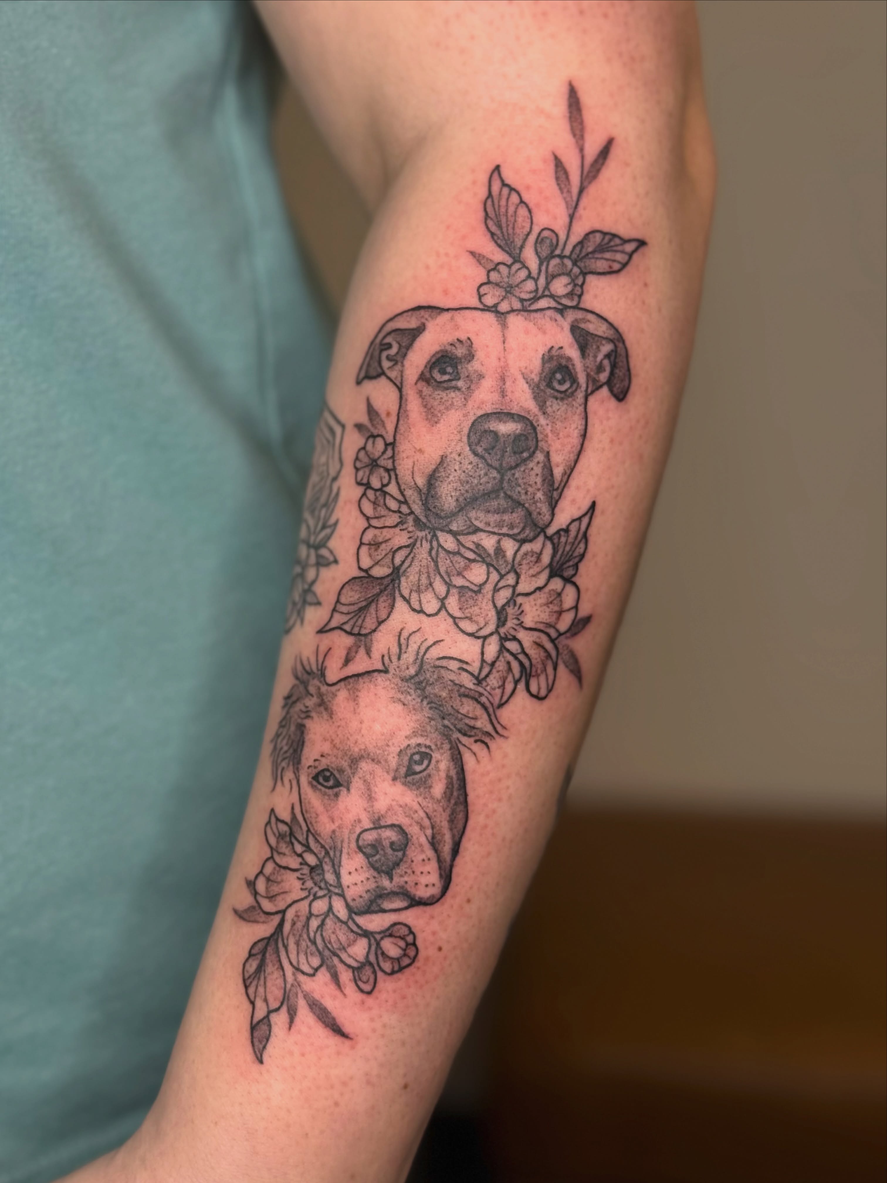 Pit bull dogs realism tattoo on the forearm by Emma Friesen - Lancaster & York Tattoo Artist, Lancaster, Pennsylvania