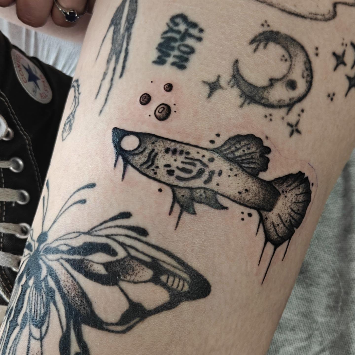 Tattoo by @eightleggedmeg — american_traditional, dotwork