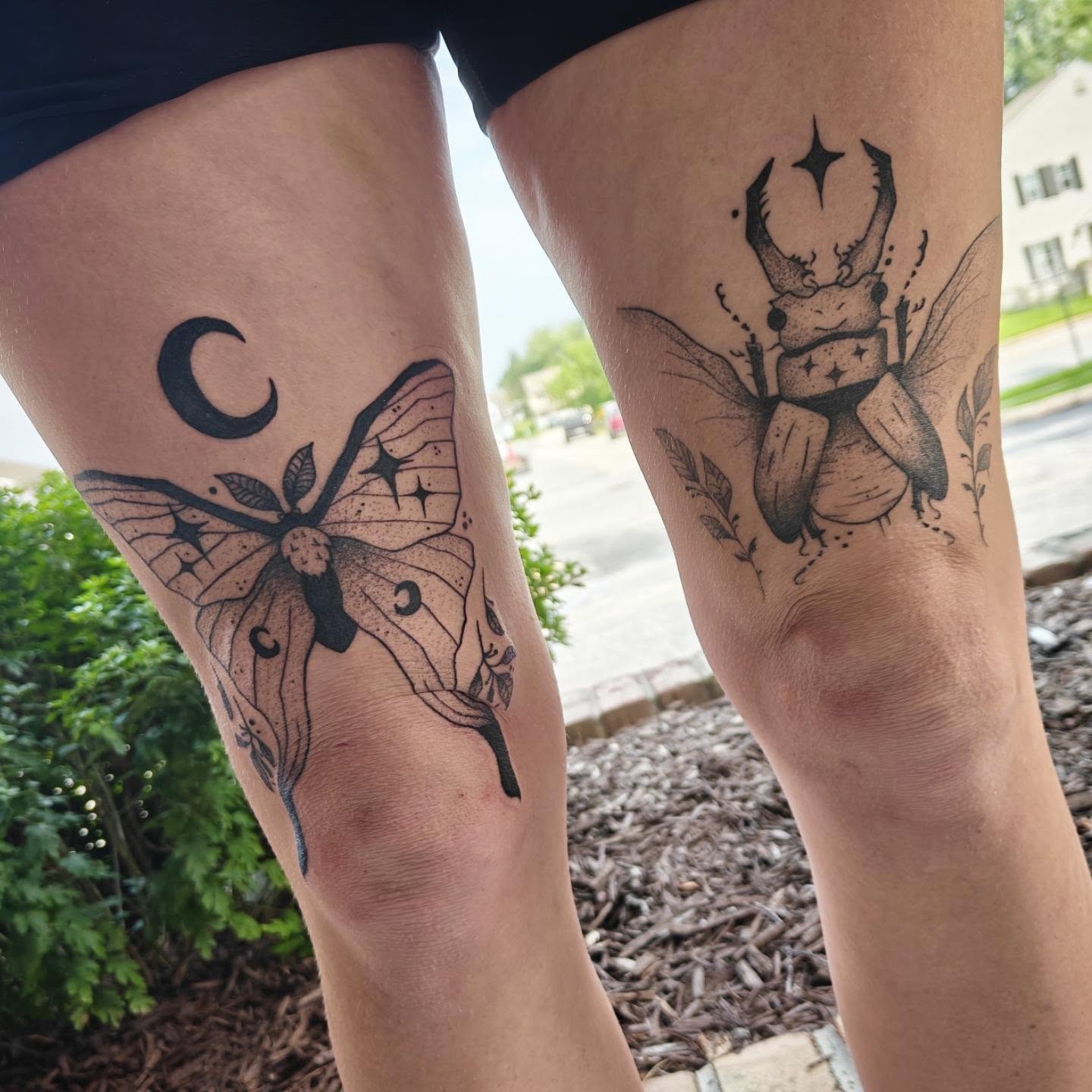 Tattoo by @eightleggedmeg — dotwork, black_and_grey