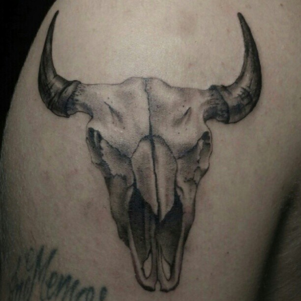 Bull skull black and grey tattoo on the shoulder by @jaclyngreb