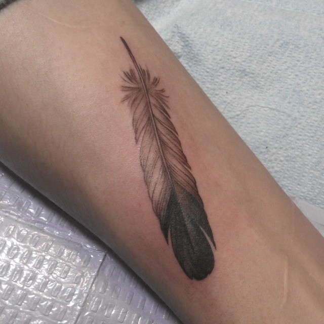 Feather black and grey tattoo on the forearm by @jaclyngreb