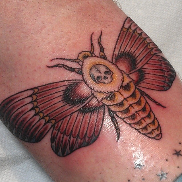 Death moth American traditional tattoo on the forearm by @jaclyngreb
