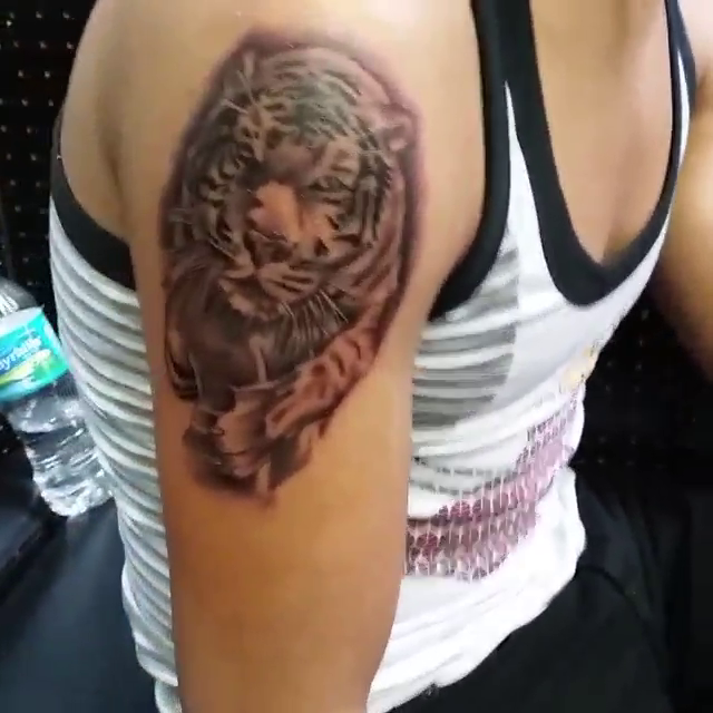 Tiger portrait realism tattoo by Tattoos By Mauze